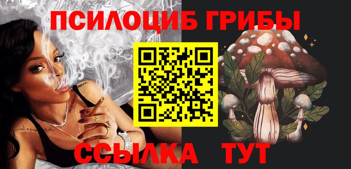 Псилоцибиновые грибы Psilocybine cubensis  наркотики  Галлюциногенные грибы мицелий  Урюпинск  Вход с VPN 